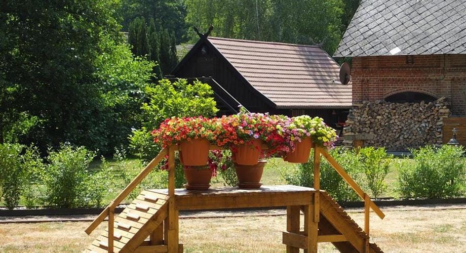 Spring, Garden, Garden view