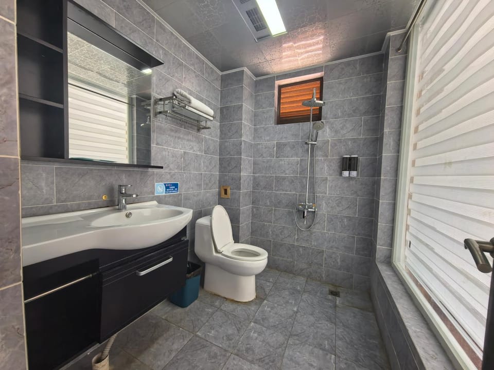 Shower, Toilet, Bathroom, towels