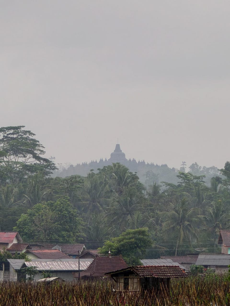 Natural landscape