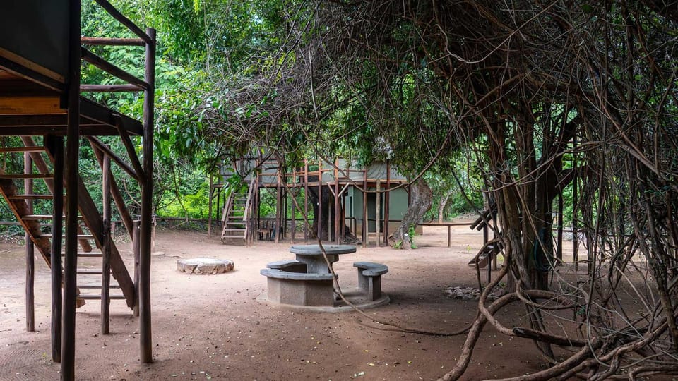 Pafuri Accommodation Rivercamp Campground/ 
RV Resort in South Africa