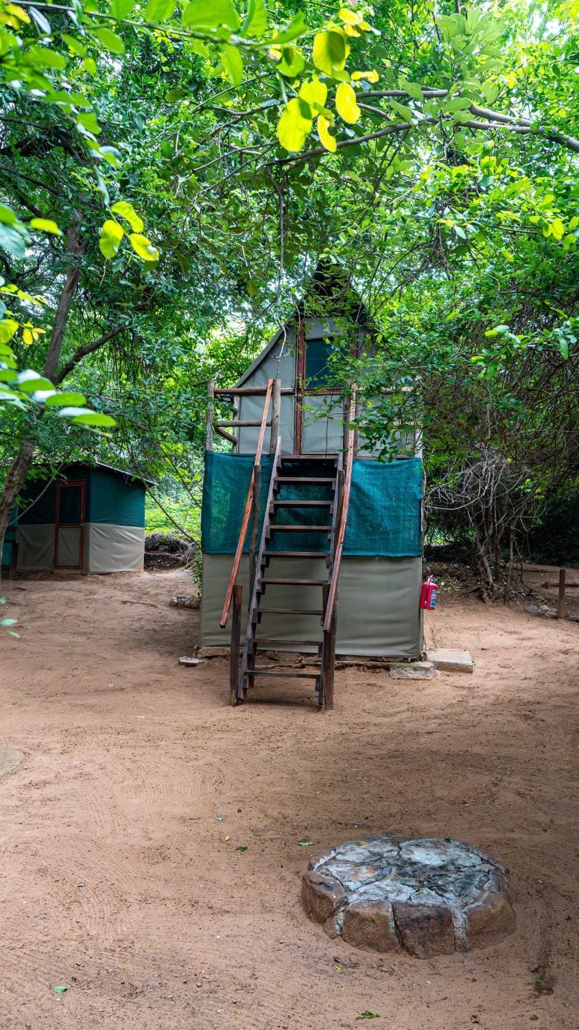 Pafuri Accommodation Rivercamp Campground/ 
RV Resort in South Africa