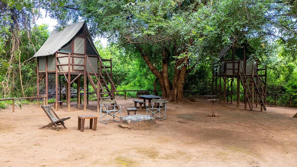 Pafuri Accommodation Rivercamp Campground/ 
RV Resort in South Africa