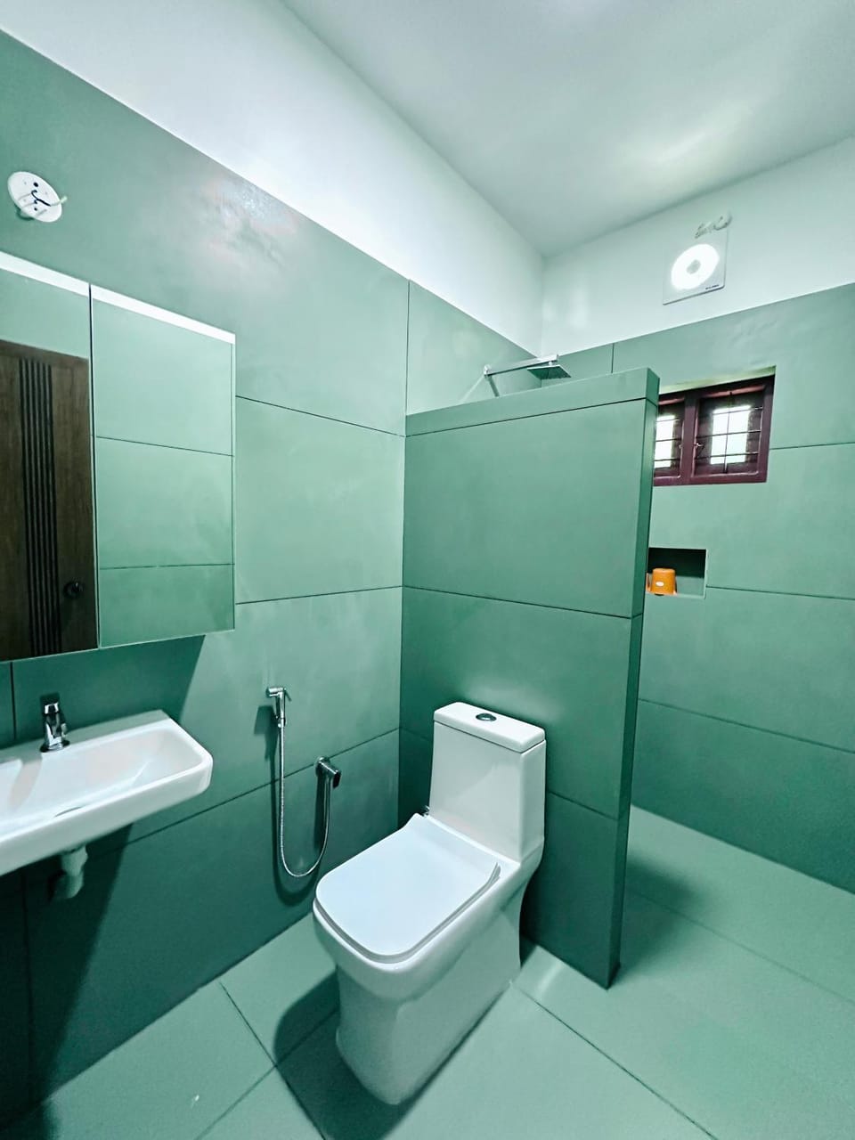 Shower, Toilet, Bathroom, bidet