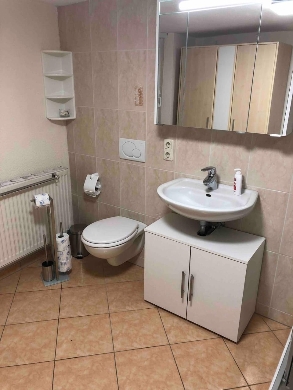 Pension Ute Apartment in Saxony