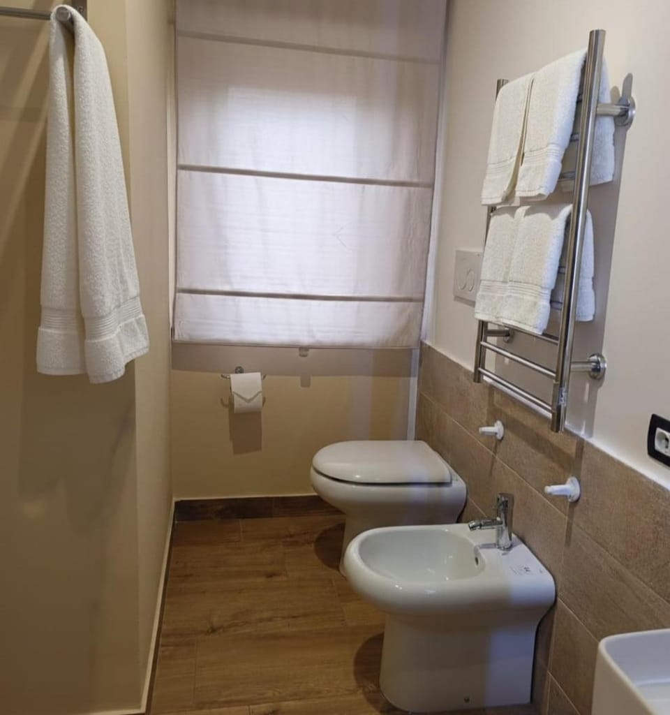 Shower, Toilet, Bathroom, bidet, towels