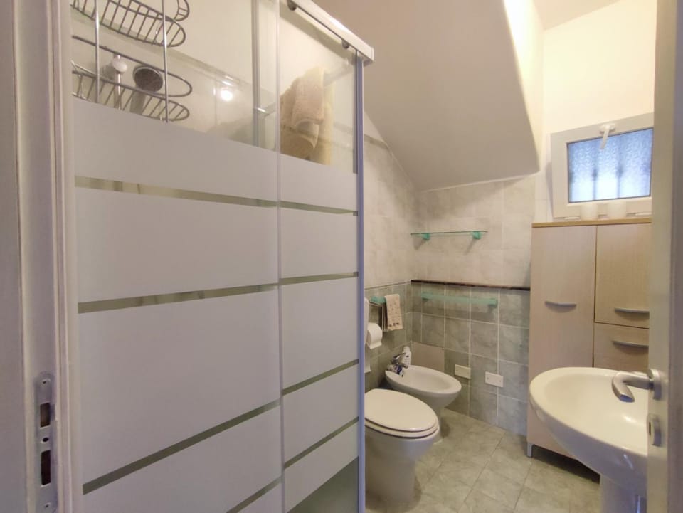 Shower, Toilet, Bathroom, bidet