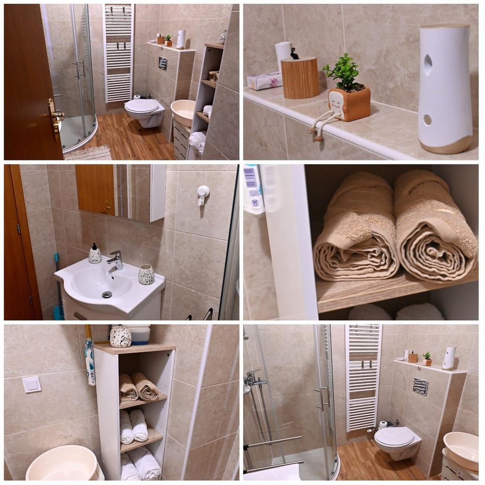 Shower, Toilet, Bathroom, towels
