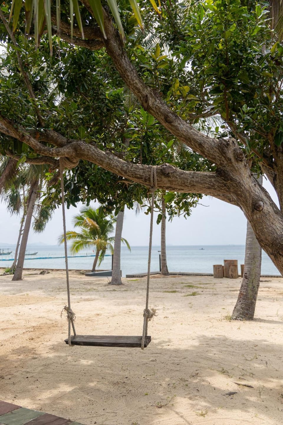 Natural landscape, Beach