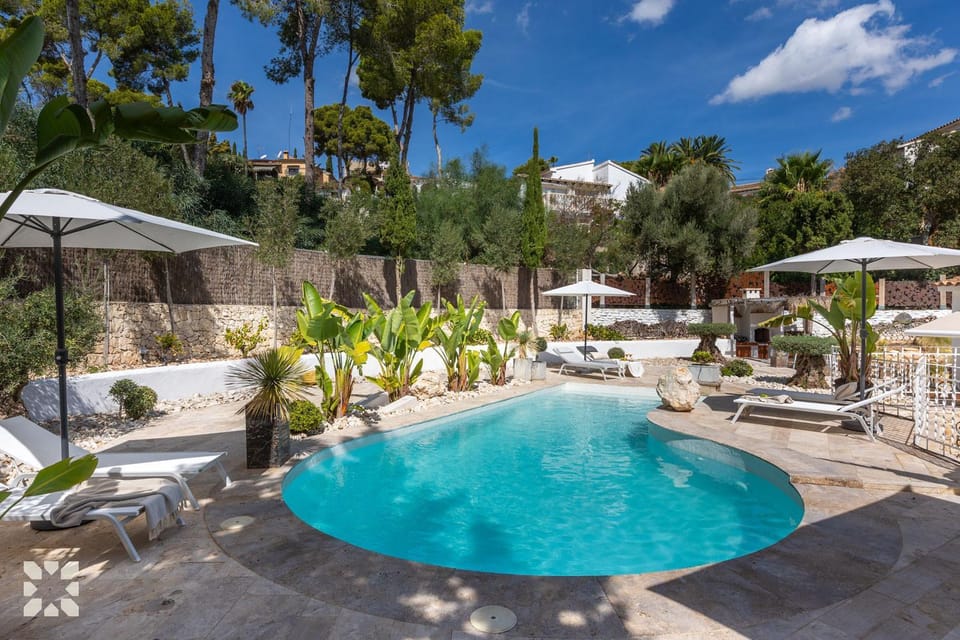 Patio, Spring, Day, Natural landscape, Garden, Garden view, Pool view, Swimming pool, sunbed