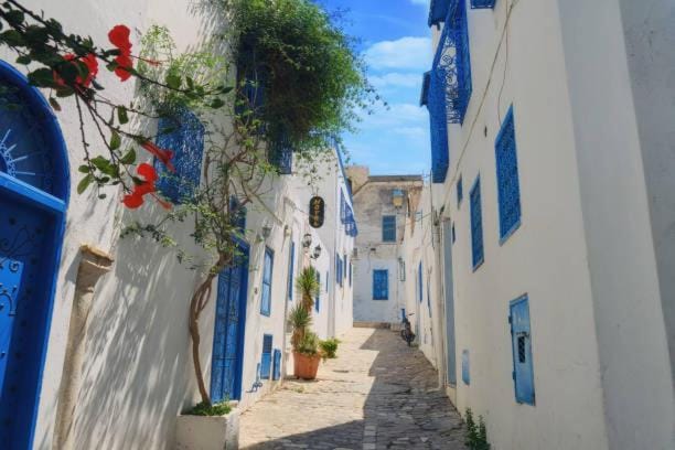 Sidi bou village amazing view Apartment in Tunis Governorate, Tunisia