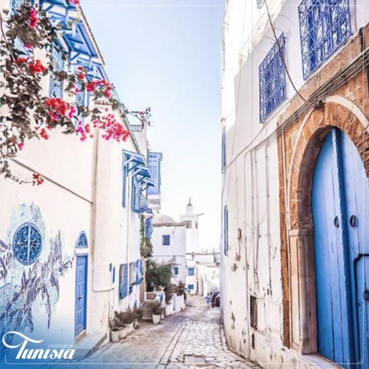 Sidi bou village amazing view Apartment in Tunis Governorate, Tunisia