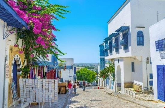Sidi bou village amazing view Apartment in Tunis Governorate, Tunisia