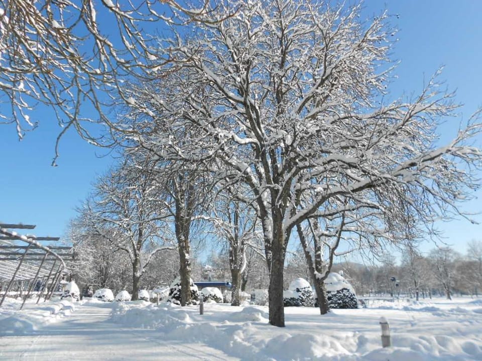 B&B Zur Tanne Bed and Breakfast in Villingen-Schwenningen