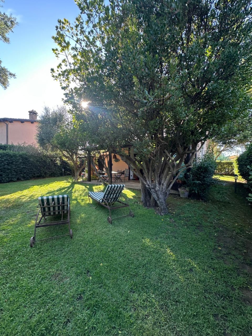 Garden, Garden, Garden view, Inner courtyard view