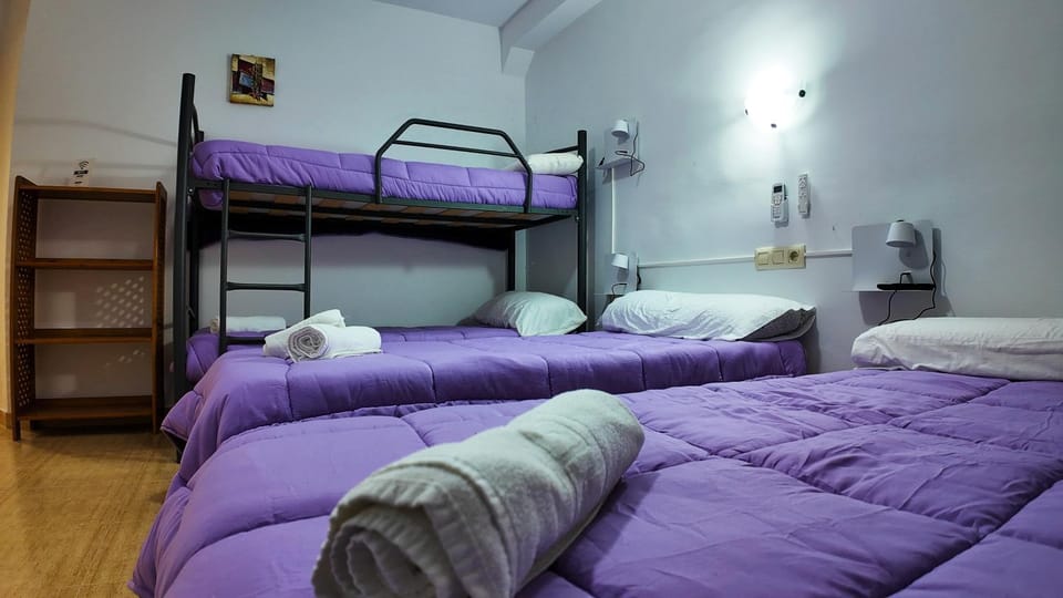 Bed, Photo of the whole room, Bedroom, bunk bed