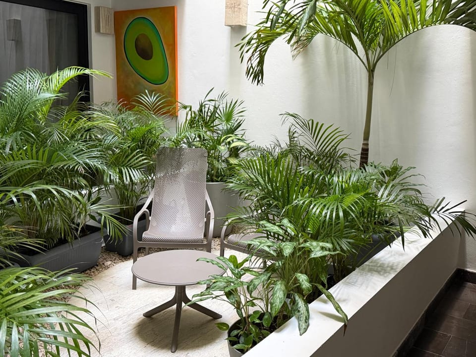 Studio de luxe Duna 206 Apartment in Playa del Carmen