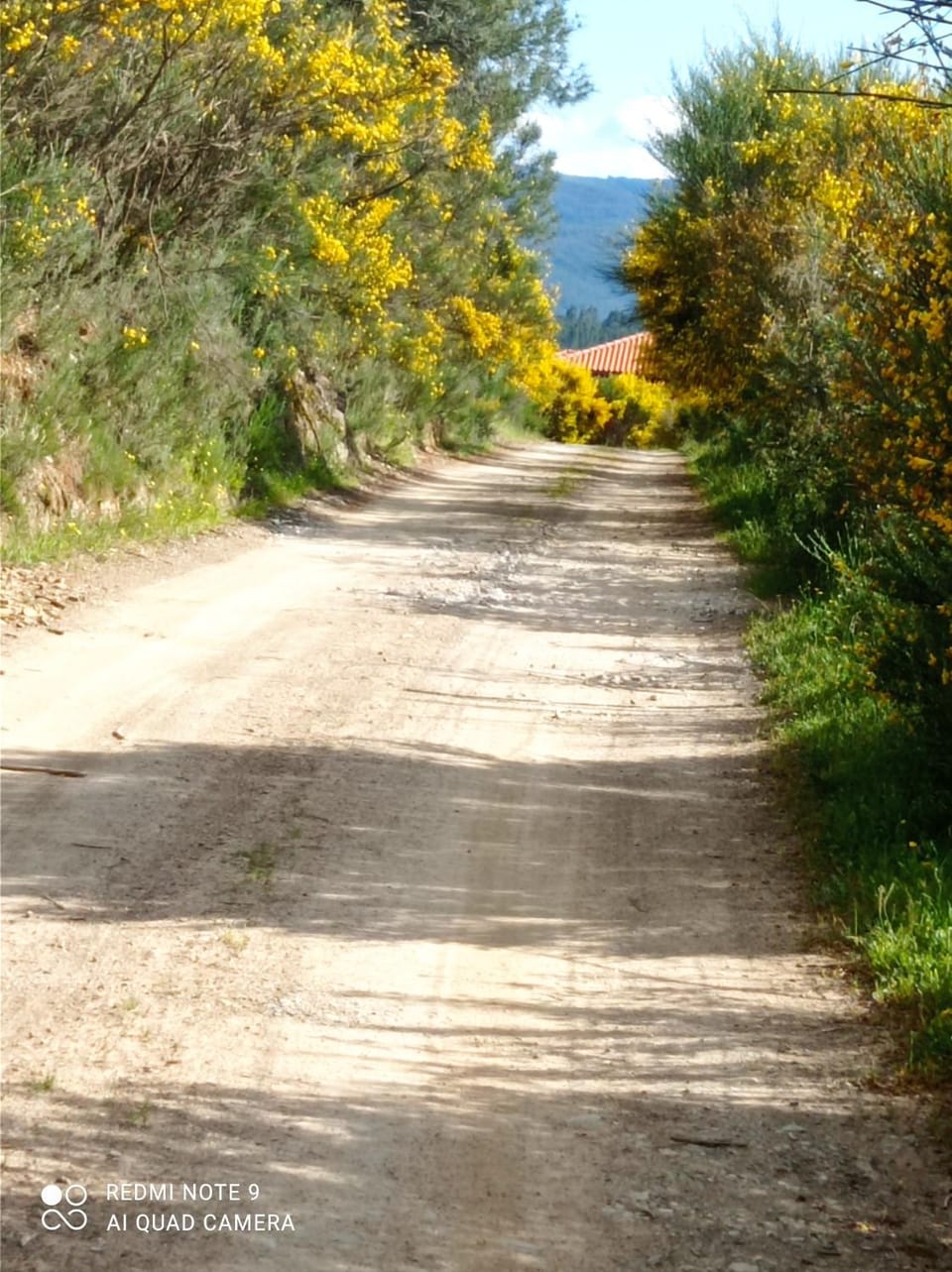 Natural landscape