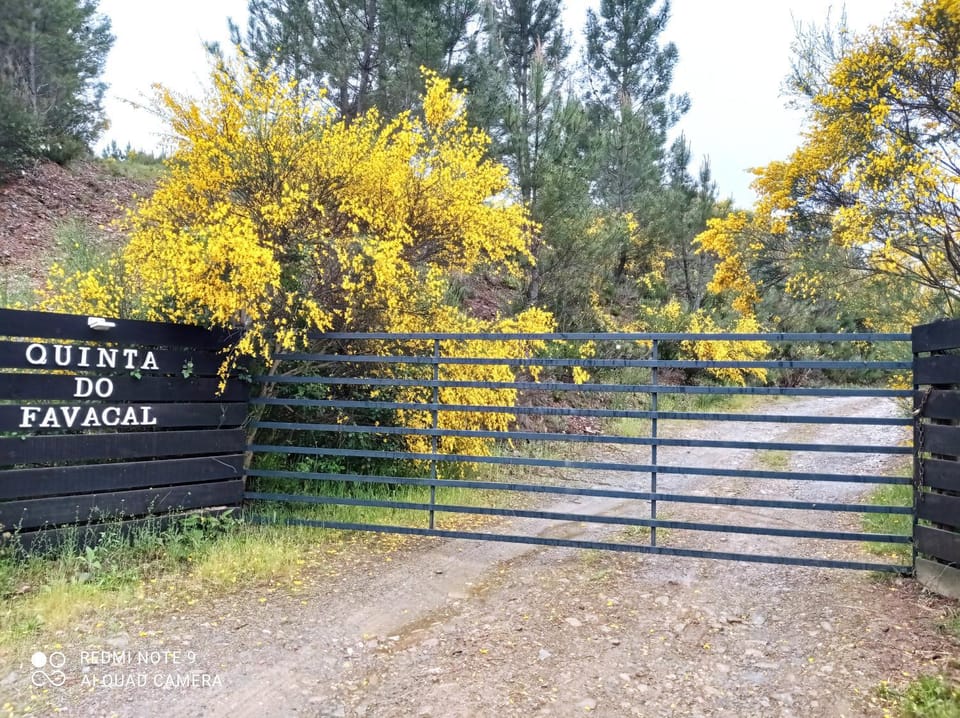 Quinta do Favacal - Agroturismo - Serra da Estrela Country House in Portugal
