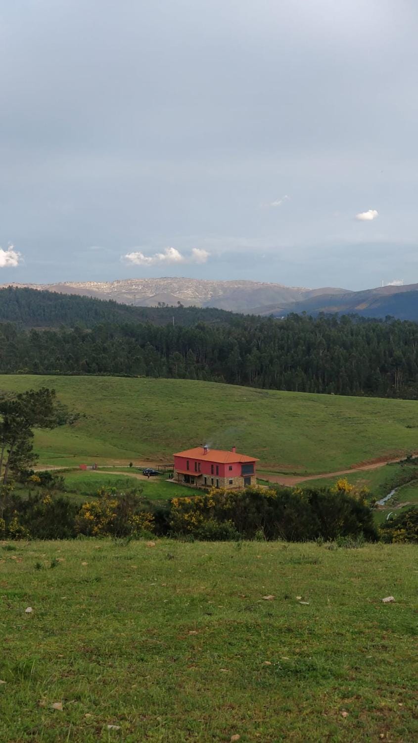 Natural landscape