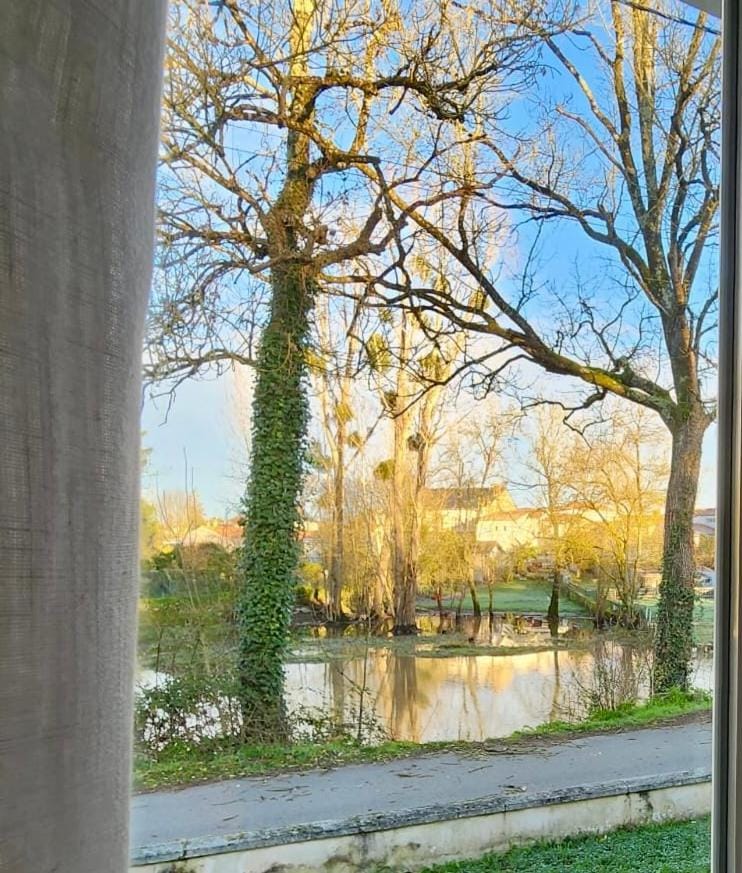 Day, River view