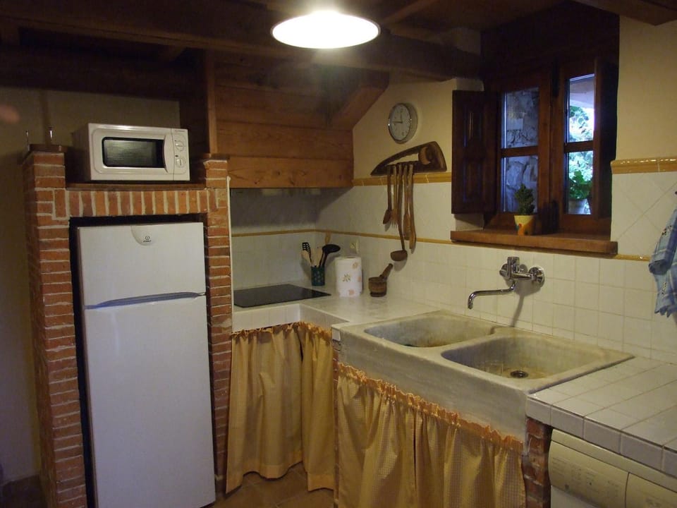 Kitchen or kitchenette, minibar, pet friendly, stove
