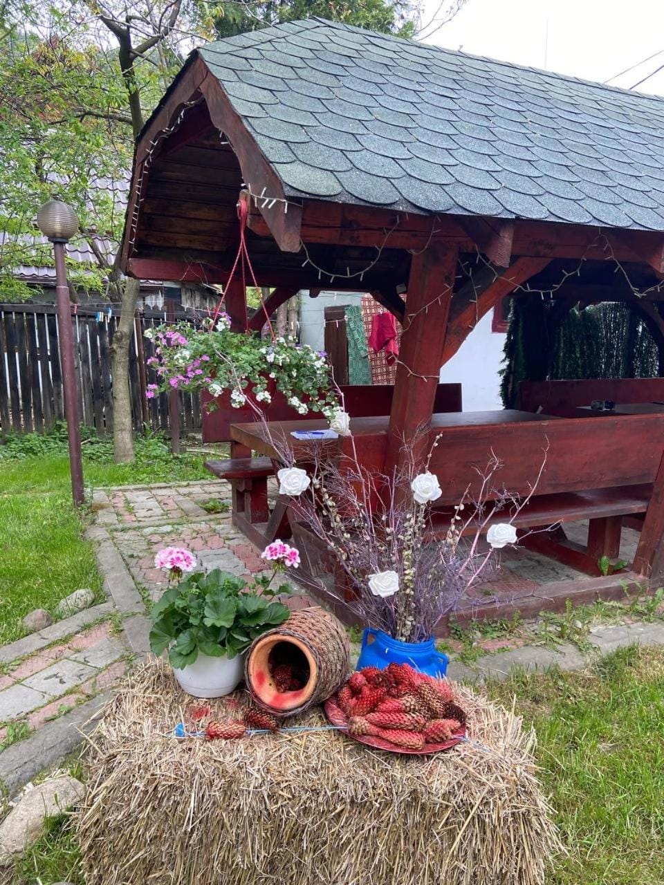Pensiunea Bianca Bed and Breakfast in Bran