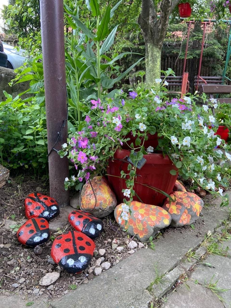 Pensiunea Bianca Bed and Breakfast in Bran