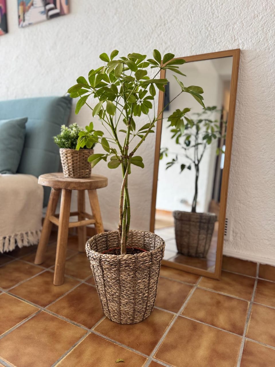 Cozy apartment Apartment in Le Lavandou