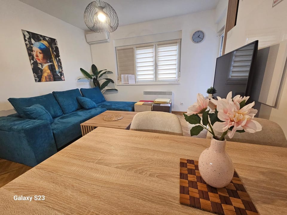 Blue Wave Vrnjacka banja Apartment in Serbia