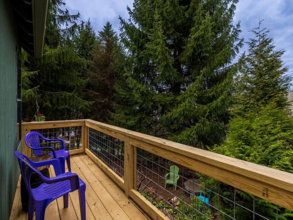 The Nuthatch Cabin - Asheville Tiny Home near the Smokie Mountains! Cabin in Buncombe County