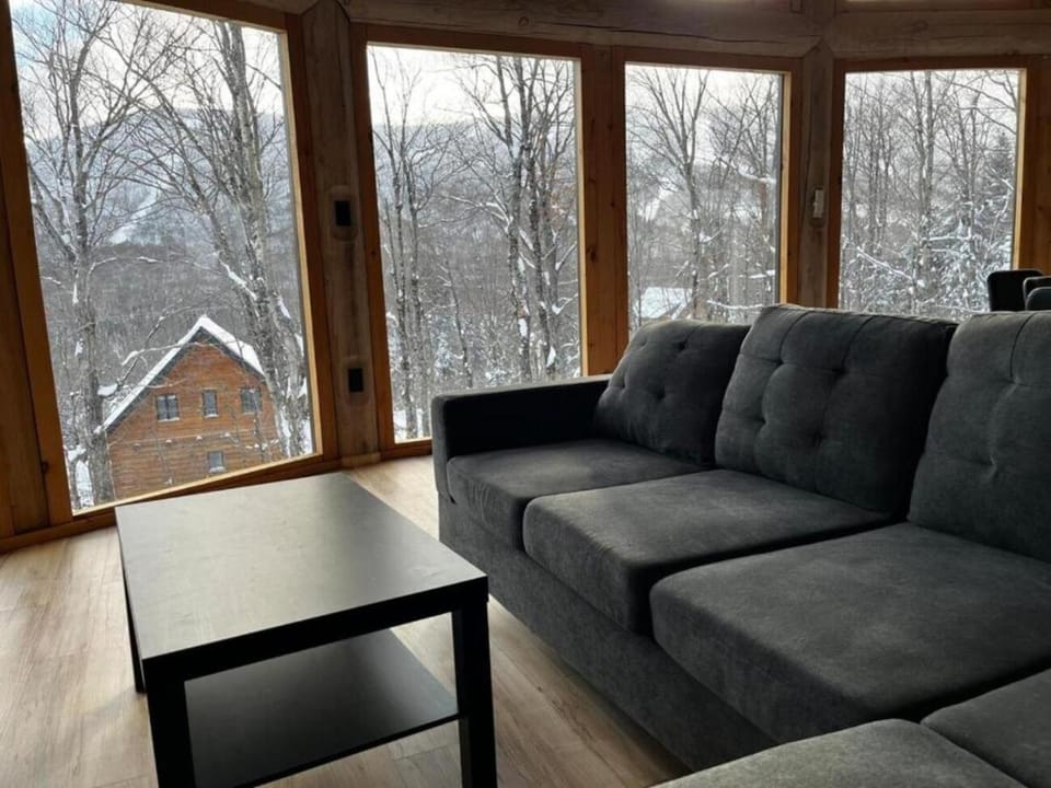 Skiing, Living room