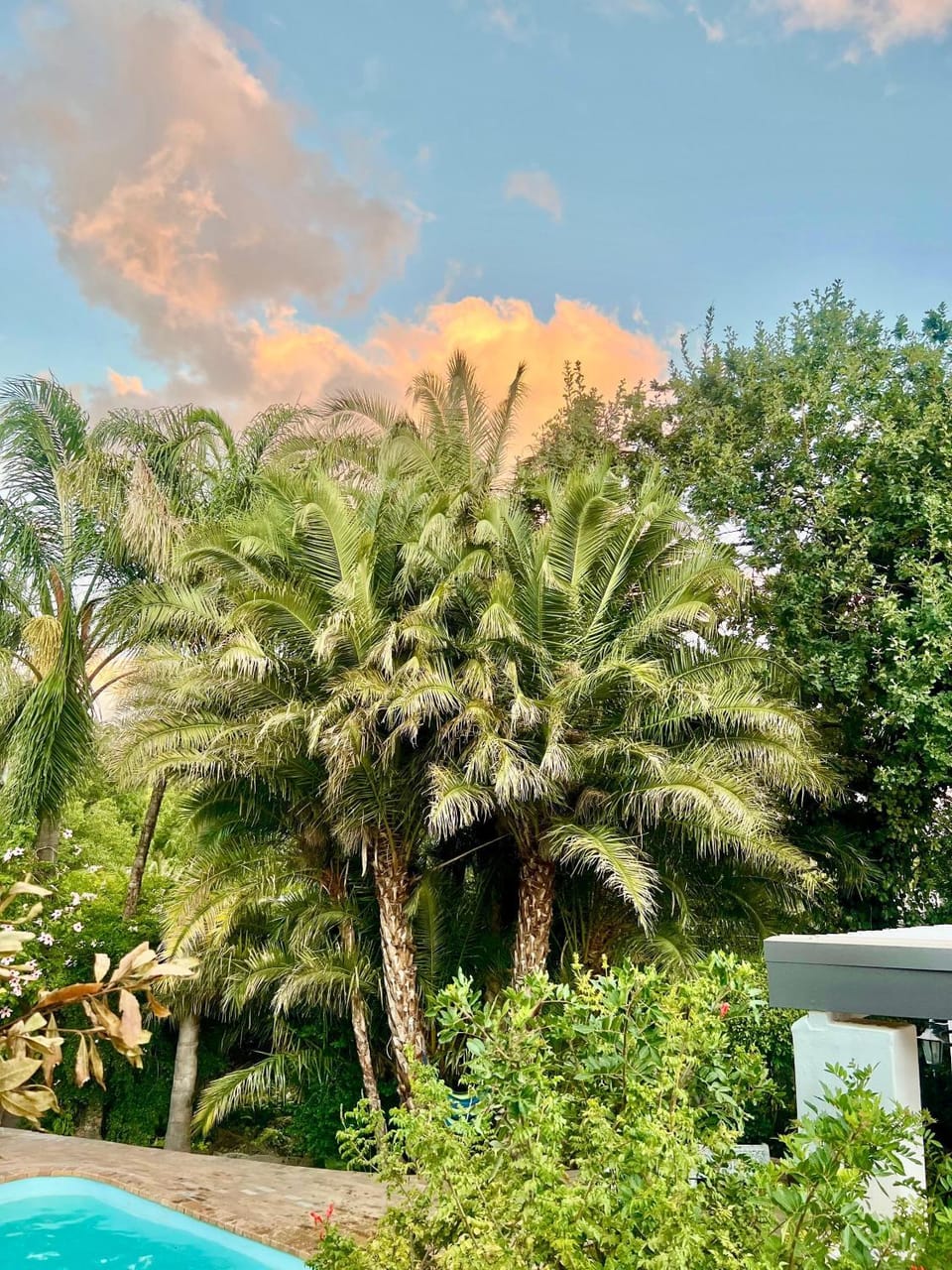 Garden view
