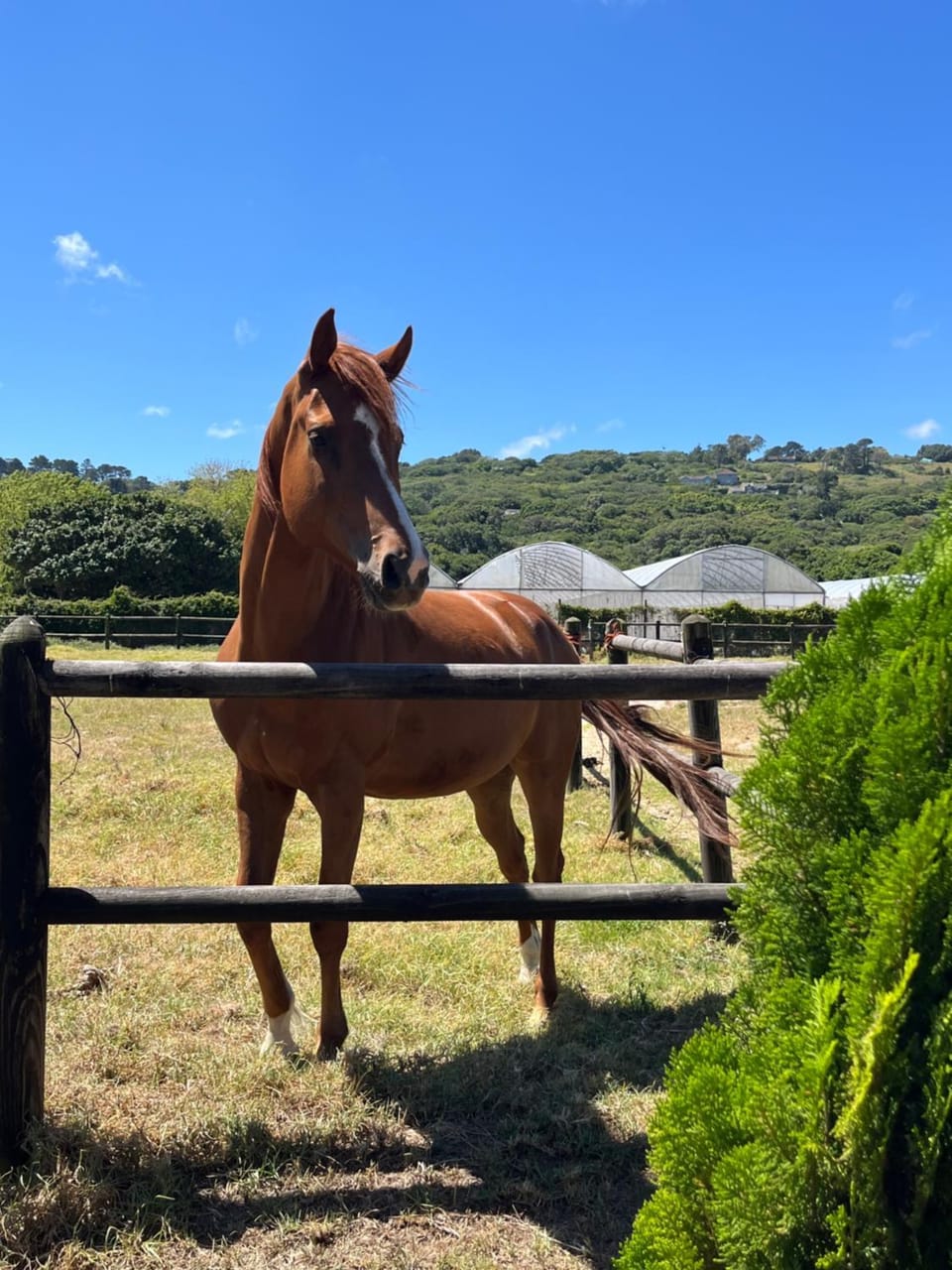 Villa Sardinia House in Port Elizabeth