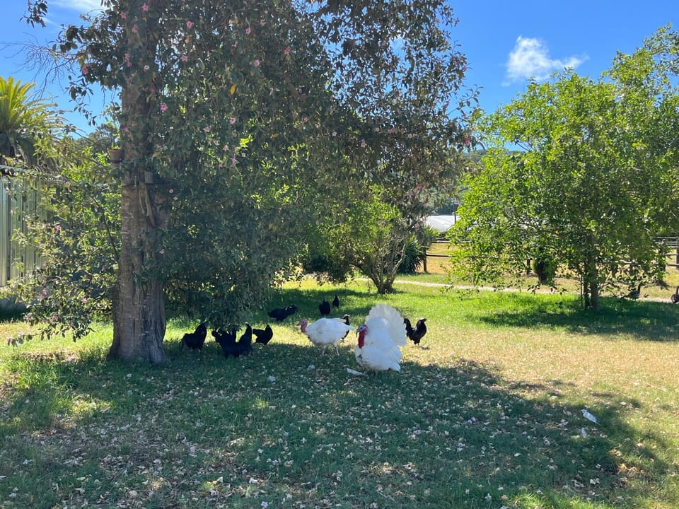 Villa Sardinia House in Port Elizabeth