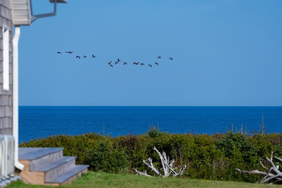 Blue Ocean Cove Beach House Villa in Prince Edward County