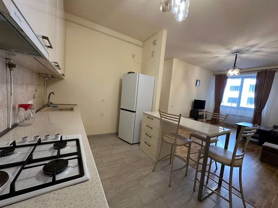 Spacious Apartment on Northern Avenue, Middle of City Center Apartment in Yerevan