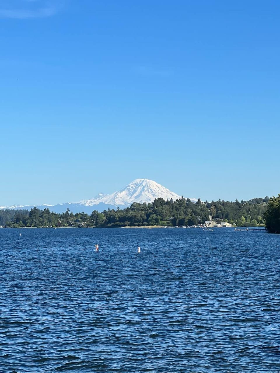 Elegant 1BR Retreat in Columbia City Seattle Apartment in Columbia City