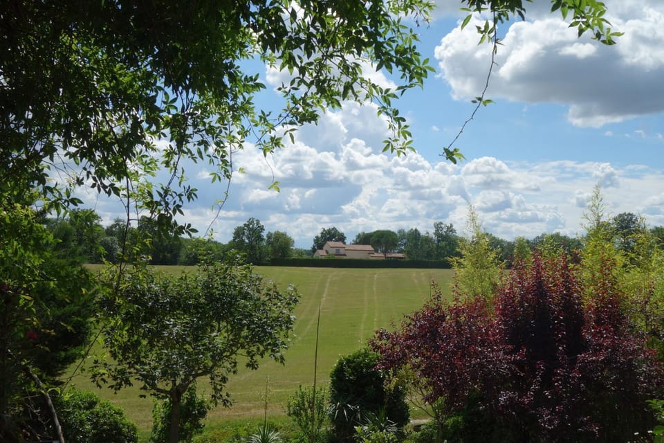 Natural landscape