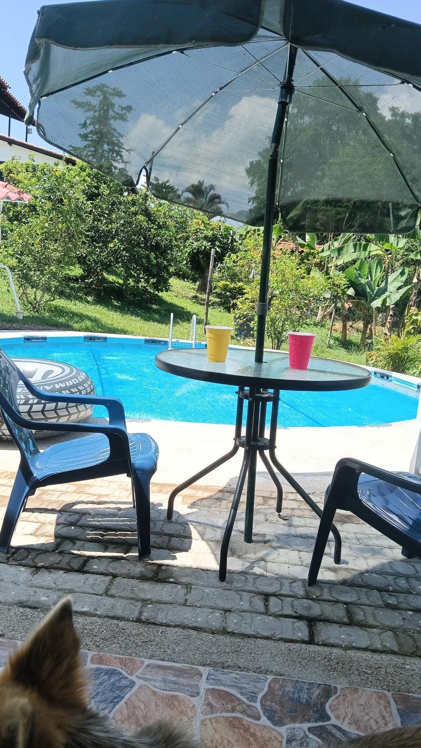 Swimming pool