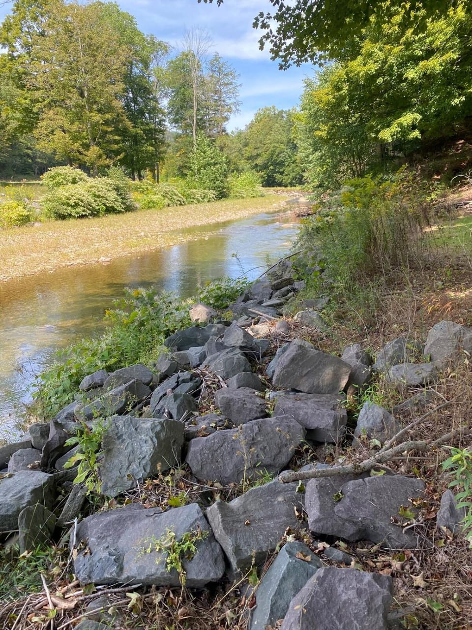River view