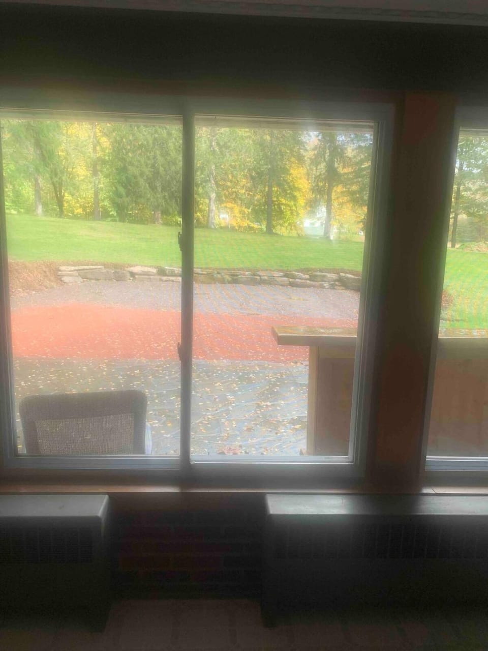 Garden view