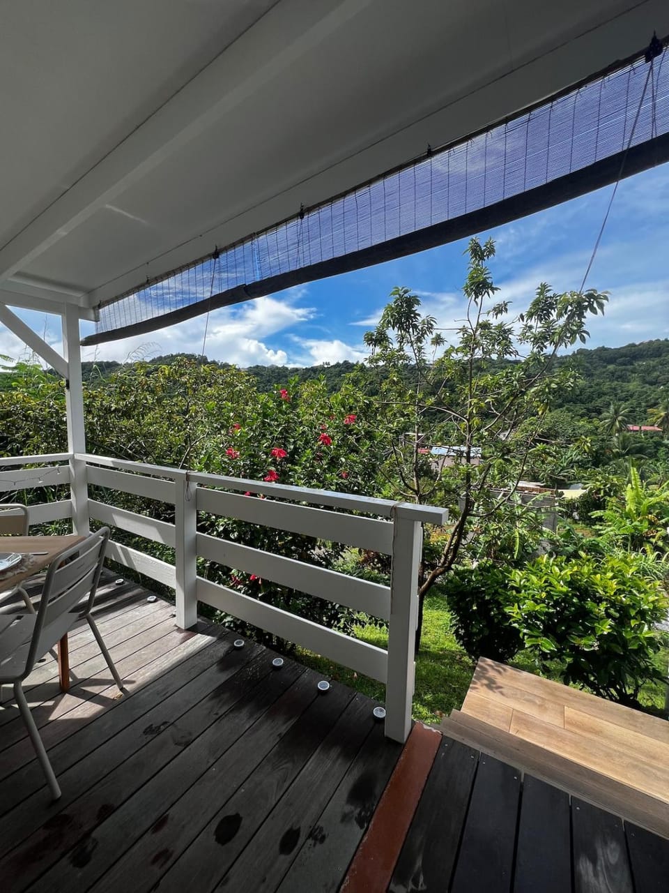 Patio, Mountain view