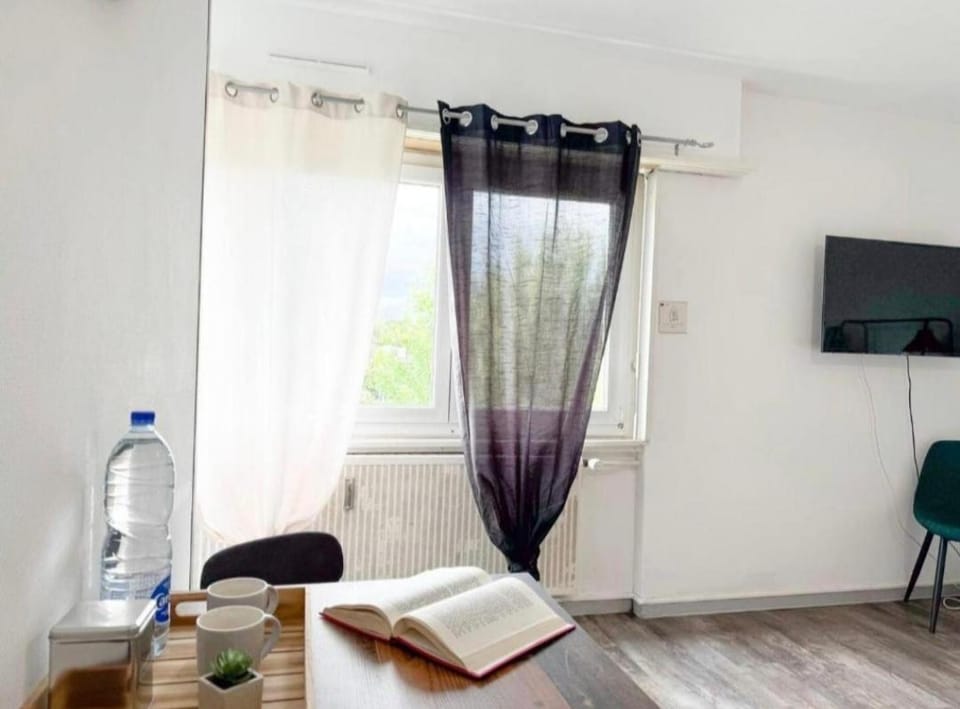 Studio des Trois Frontières Apartment in Saint-Louis