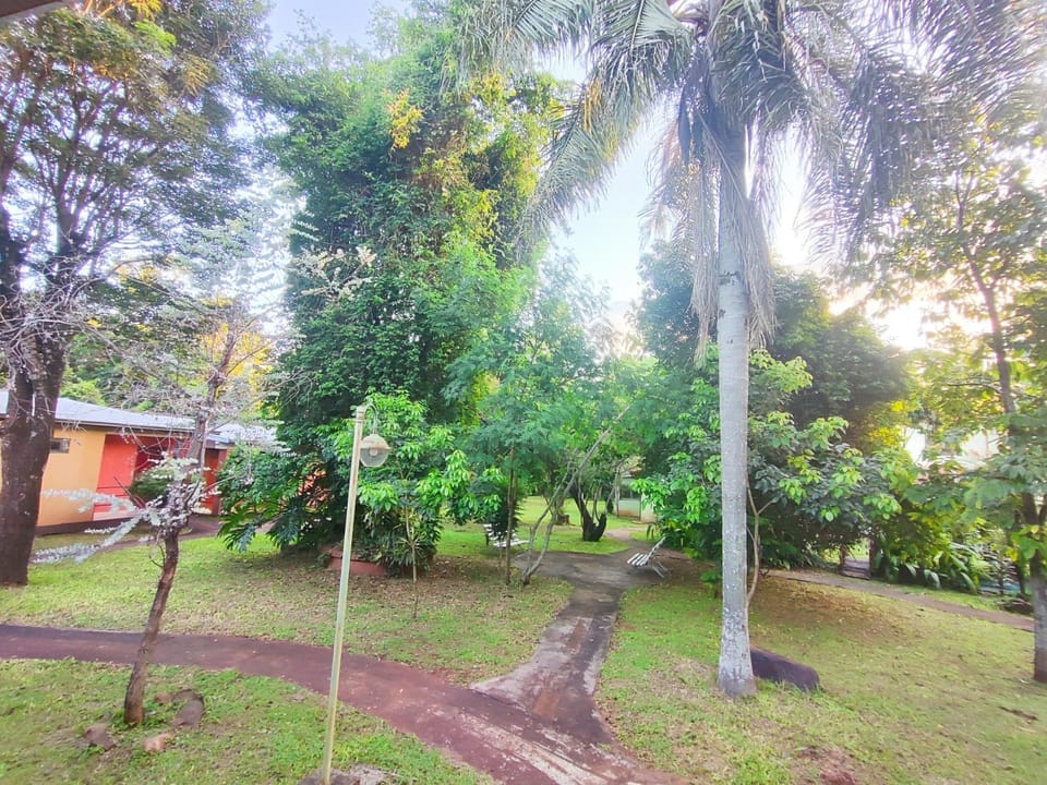 Natural landscape, Garden view