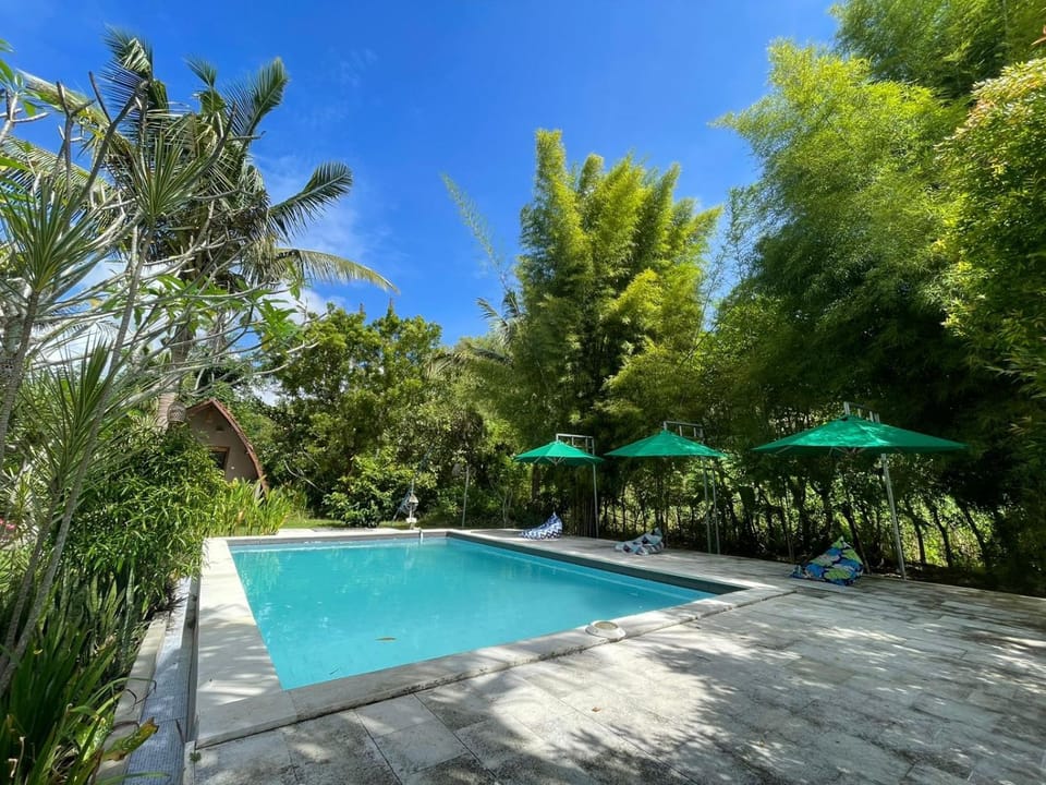 Day, Natural landscape, Swimming pool, Swimming pool