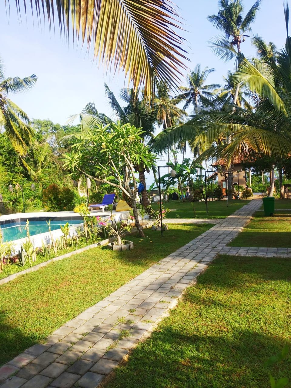 Day, Natural landscape, Garden, Garden view, Pool view, Swimming pool