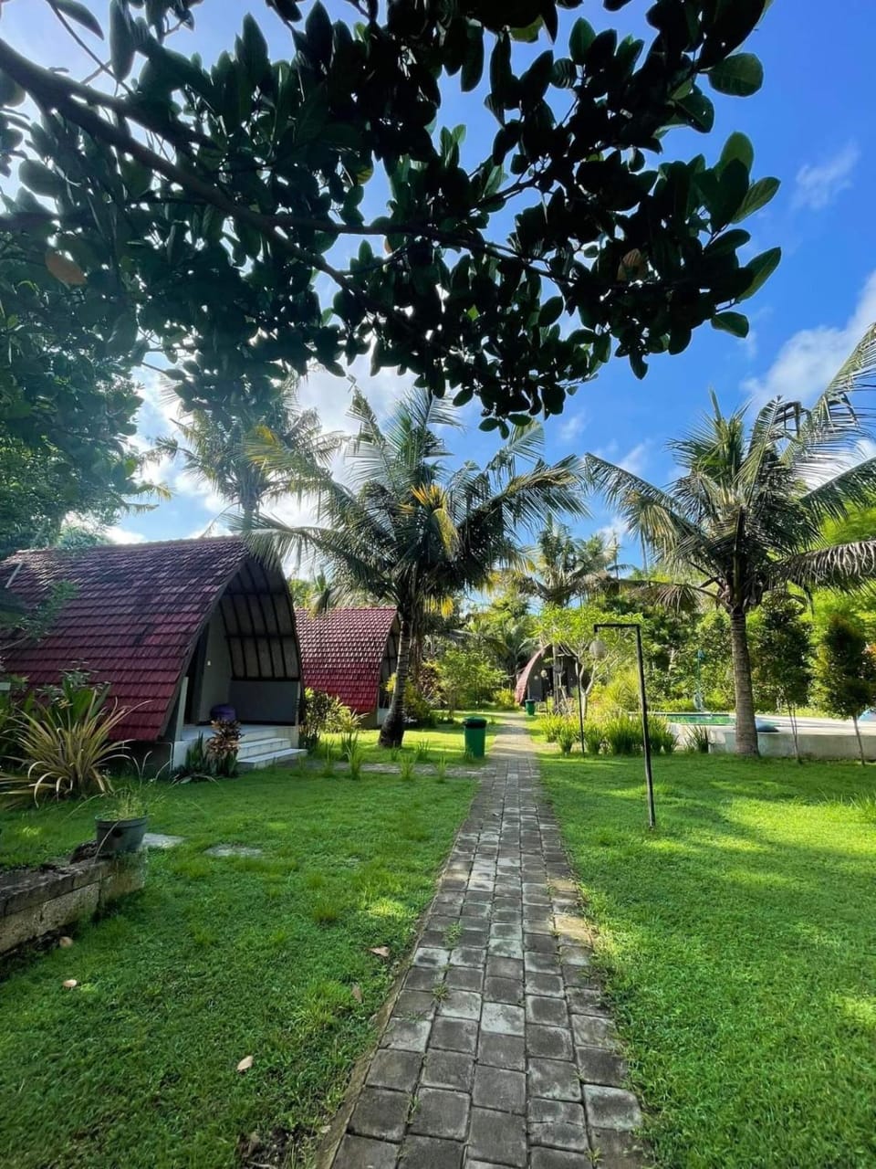 Day, Natural landscape, Garden, Garden view