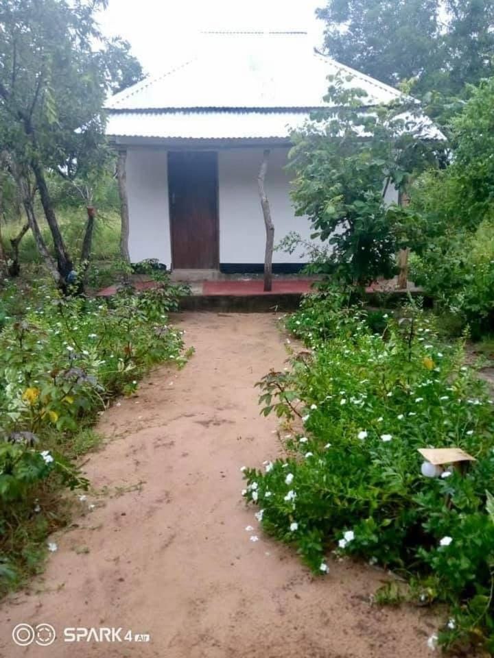 Camp Zora Selous Bed and Breakfast in Tanzania