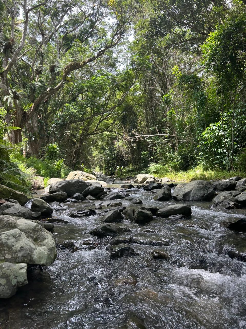 Natural landscape