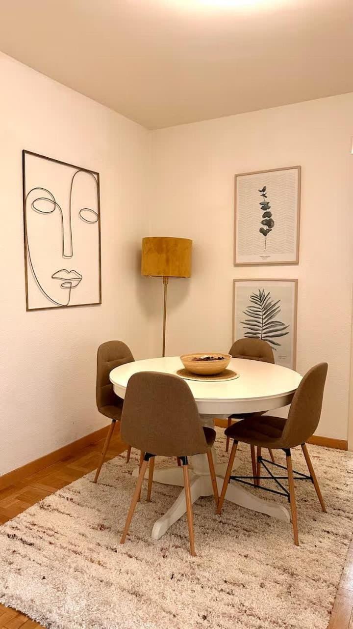 Entire Apartment 2 Bedrooms Up to 4 Guests Apartment in Geneva